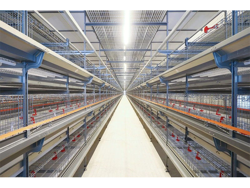 2026中国畜博会倒计时，卓一牧业新品揭秘（二）